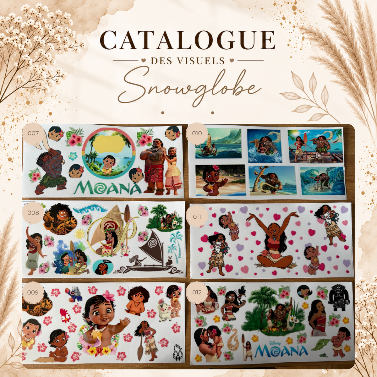 Catalogue des visuels Snow Globe - NOVA & AURA